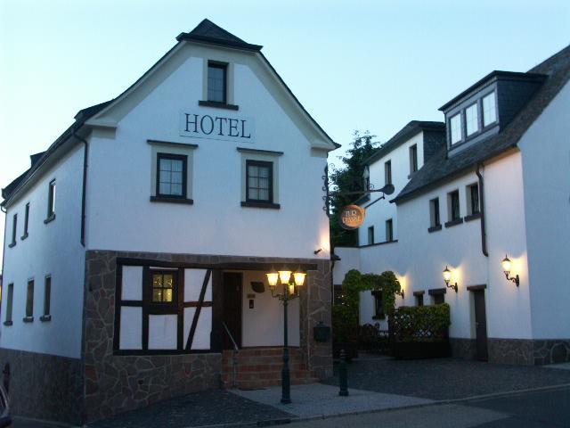 Hotel Restaurant Zur Pfanne Urbar  Kültér fotó